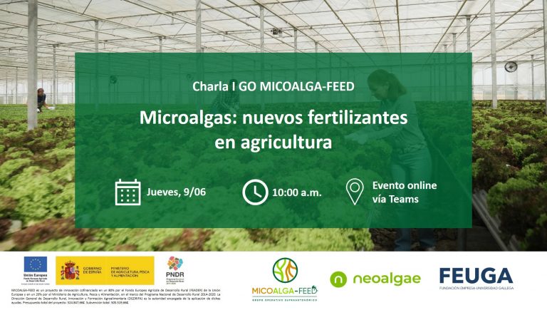 fertilizantes de algas