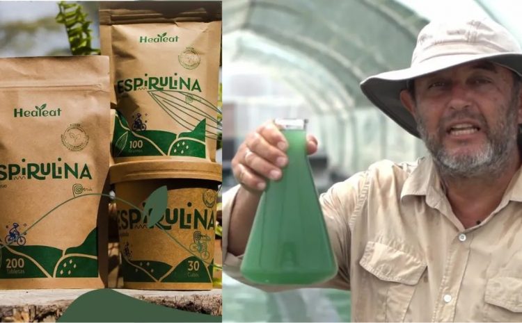  Piura emprendedores desarrollan gomitas de espirulina