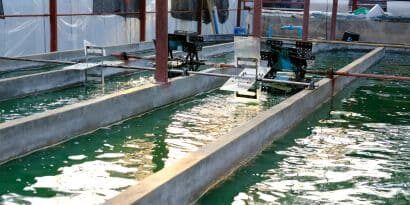 miniatura del curso