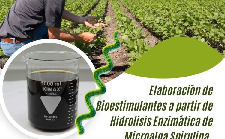  Bioestimulantes Agrícolas a Base de Microalgas Spirulina
