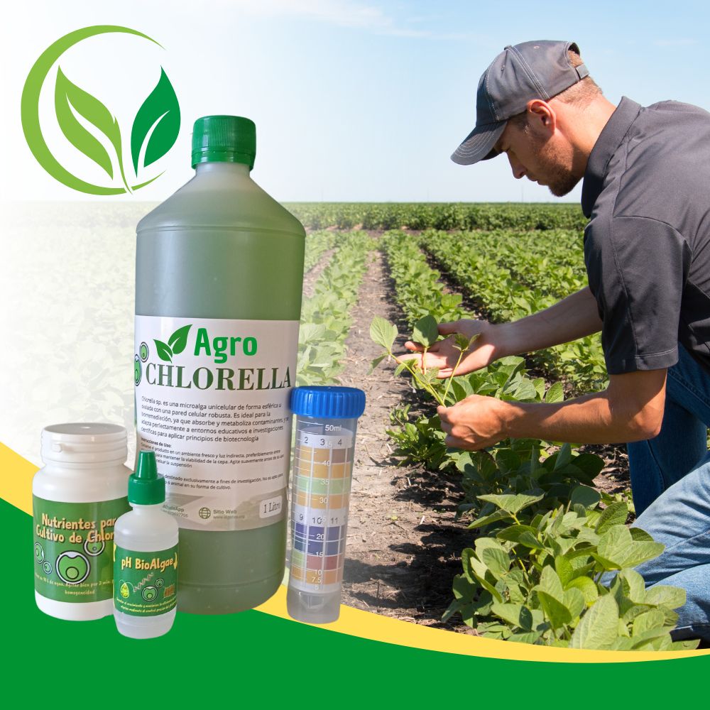 AgroChlorella como biofertilizante en agricultura sostenible