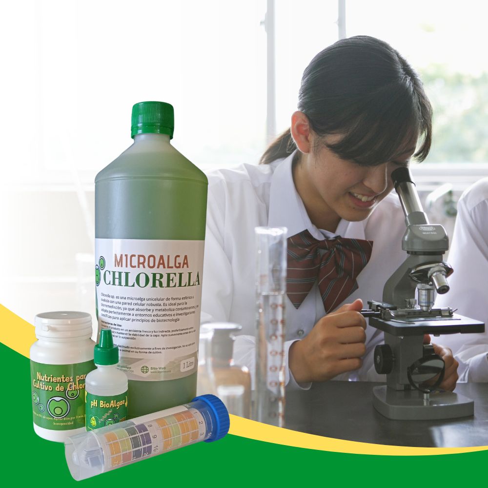 Kit de Cultivo de Microalga Chlorella