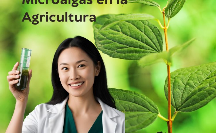  Microalgas en la Agricultura: Potenciando Cultivos Sostenibles
