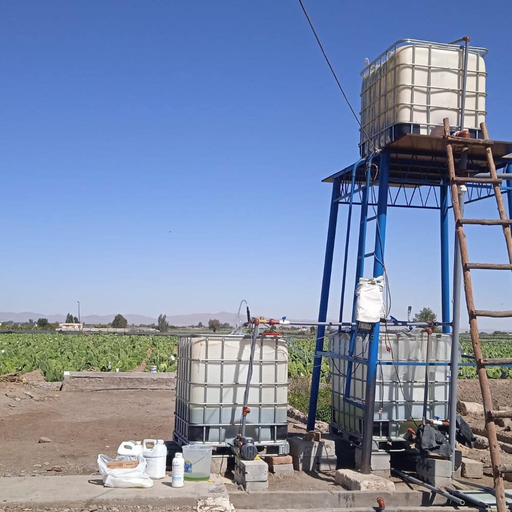 Proyecto Chlorella como biofertilizante