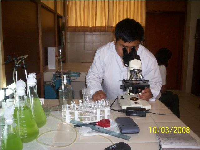 Proyecto haematococcus 01-1 proyectos en microalgas