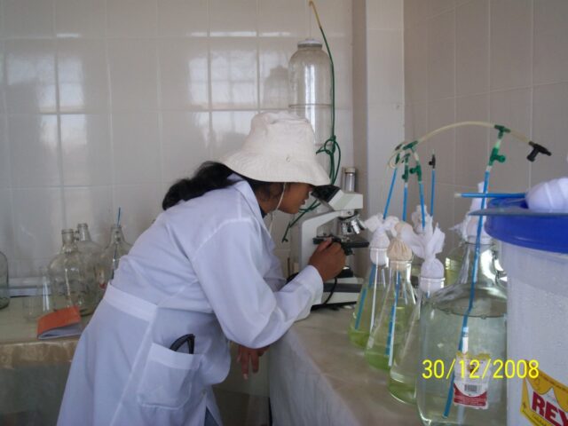 Proyecto haematococcus 01-2