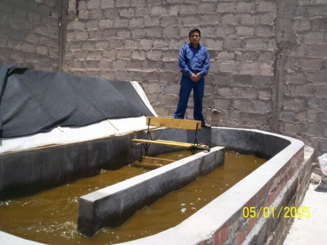 Proyecto haematococcus 019