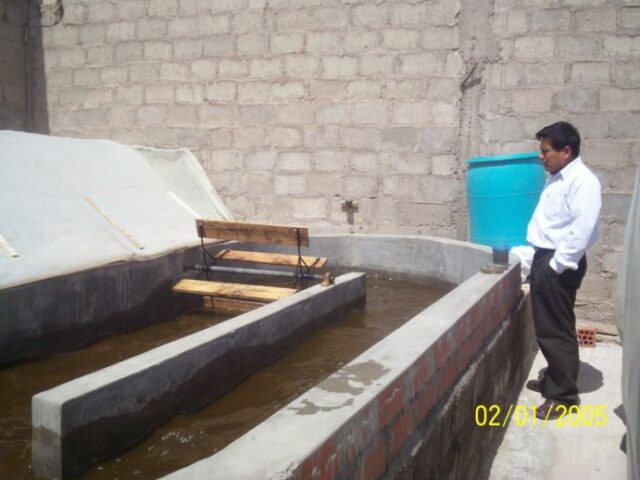 Proyecto haematococcus 021