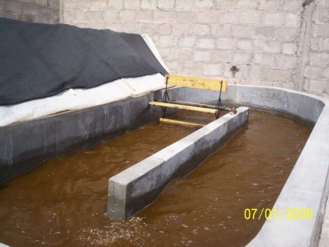 Proyecto haematococcus 023-1