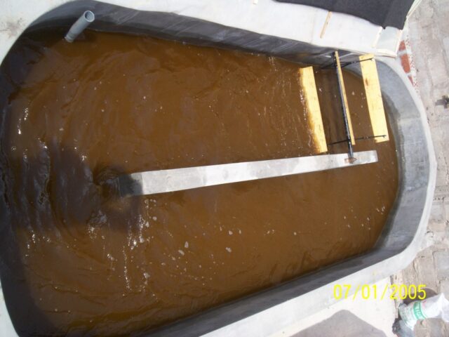 Proyecto haematococcus 023-2