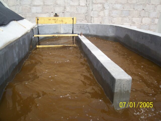 Proyecto haematococcus 023