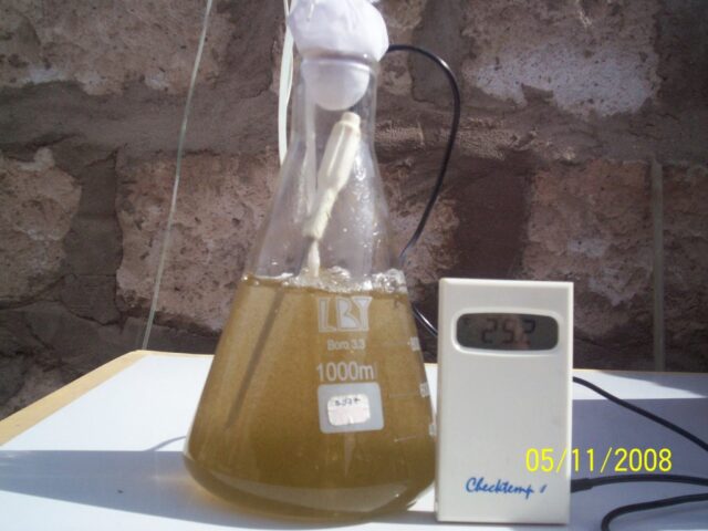 Proyecto haematococcus 07-3