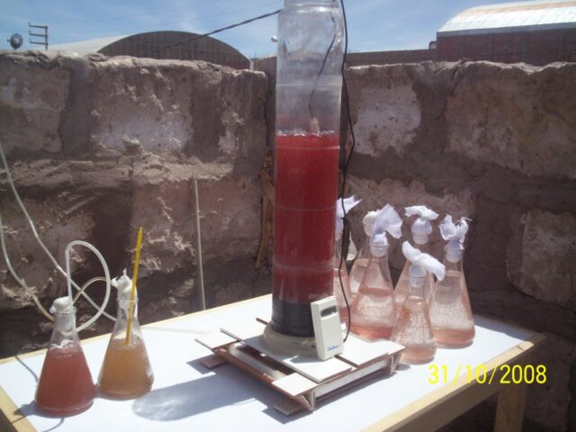 Proyecto haematococcus 09