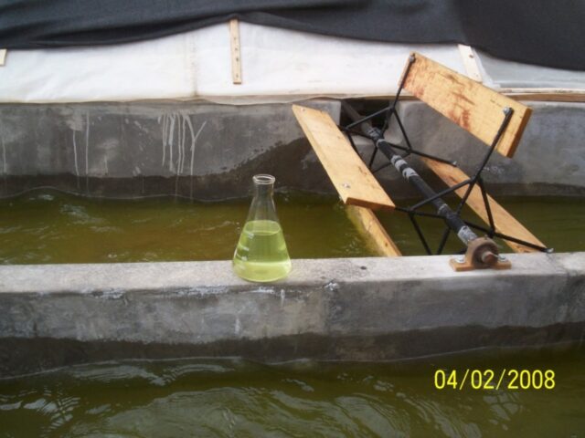 Proyecto haematococcus 18-5