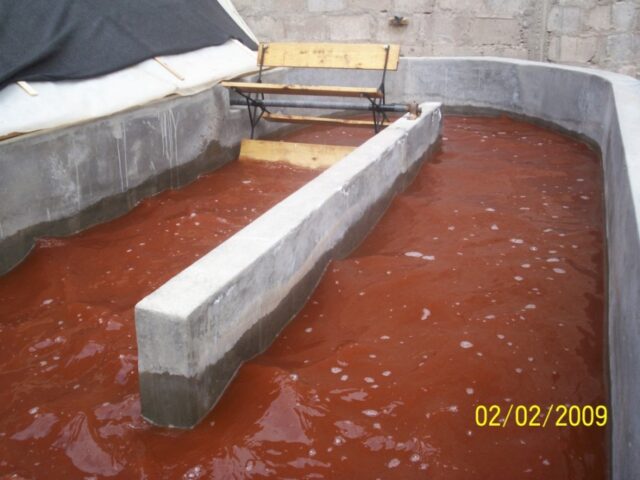 Proyecto haematococcus 25