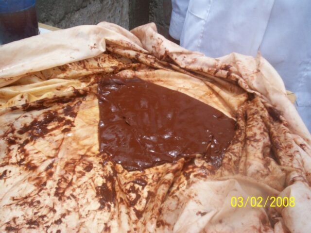 Proyecto haematococcus 26