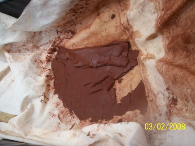 Proyecto haematococcus 27