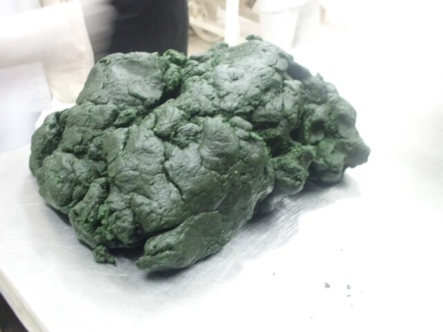 Proyecto spirulina en Iquitos 19