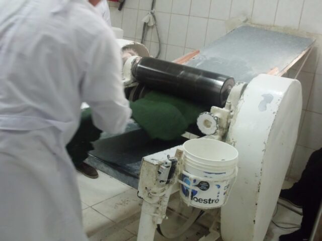 Proyecto spirulina en Iquitos 20