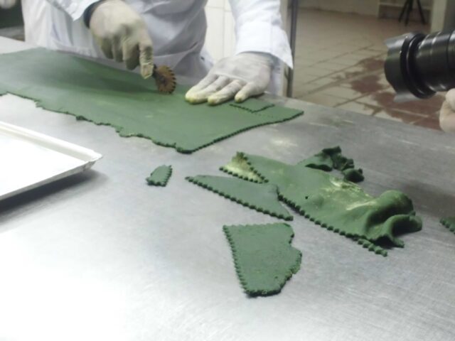Proyecto spirulina en Iquitos 21