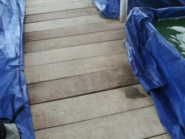 Proyecto spirulina en Iquitos 7