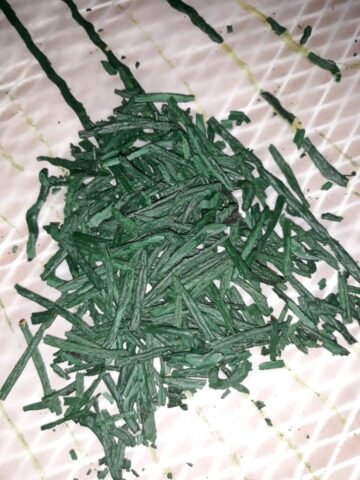 Spirulina-Bolivia18