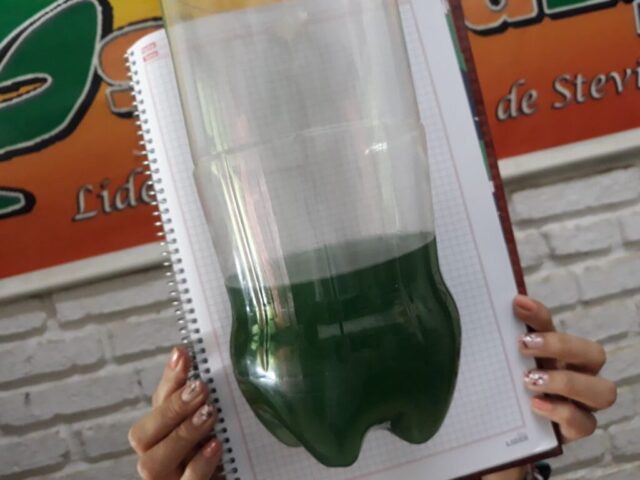 Spirulina-Bolivia2