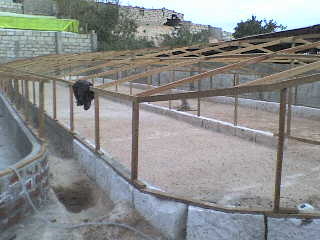 proyecto-Spirulina-Arequipa-05
