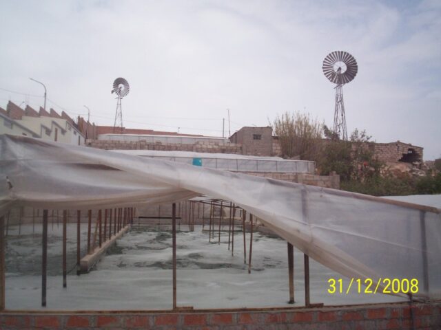 proyecto-Spirulina-Arequipa-09