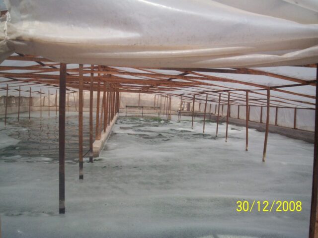 proyecto-Spirulina-Arequipa-17