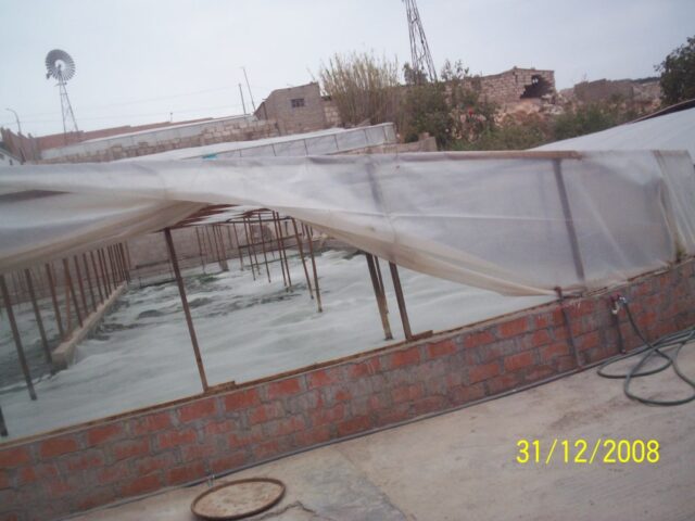 proyecto-Spirulina-Arequipa-18