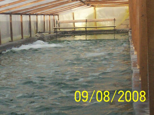 proyecto-Spirulina-Arequipa-22