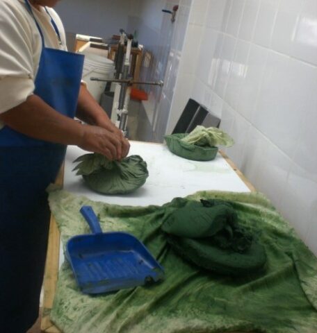 proyecto-Spirulina-Arequipa-24