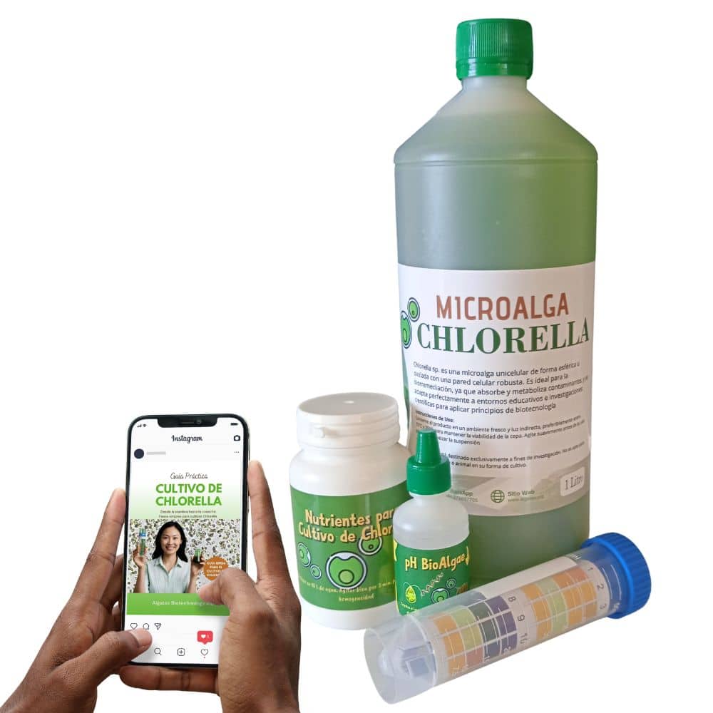 Kit en Cultivo de Microalga Chlorella