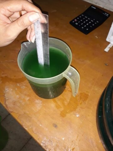 Spirulina en bolivia
