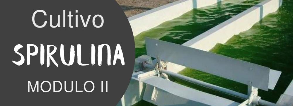 curso de spirulina