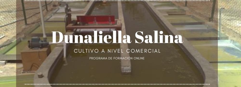 Dunaliella Salina