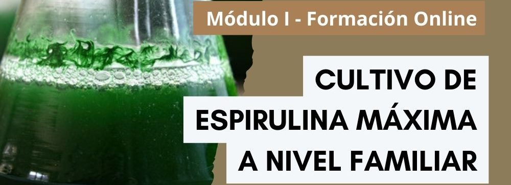 spirulina máxima